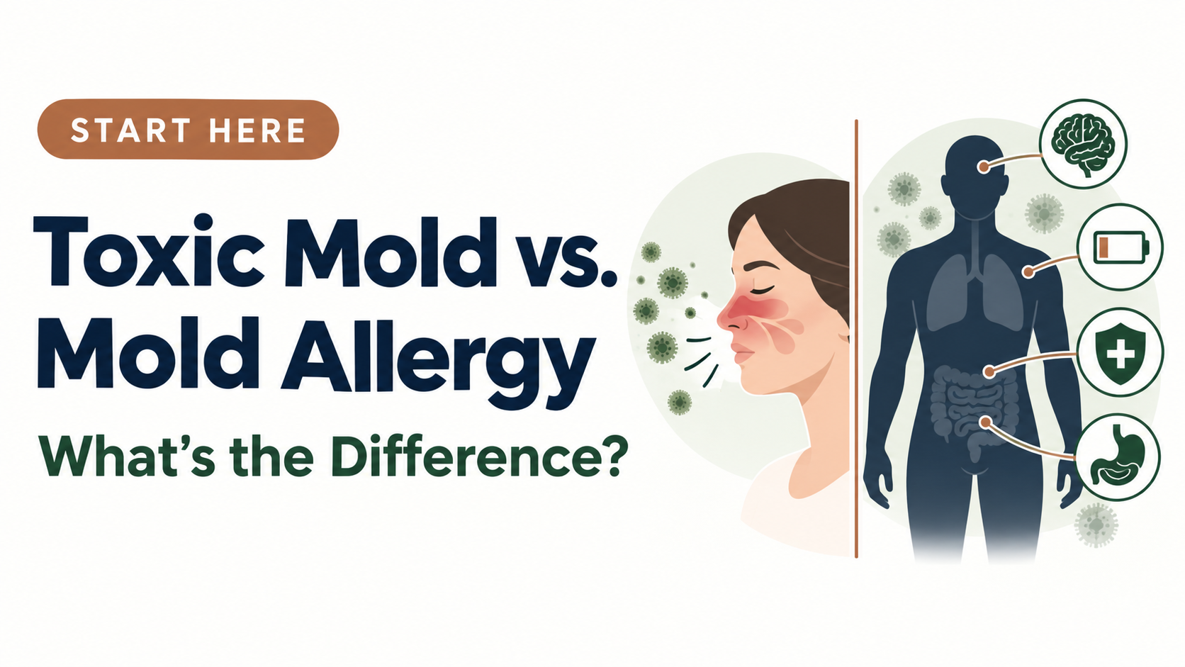 Illustration comparing a typical mold allergy reaction with broader mold-related illness