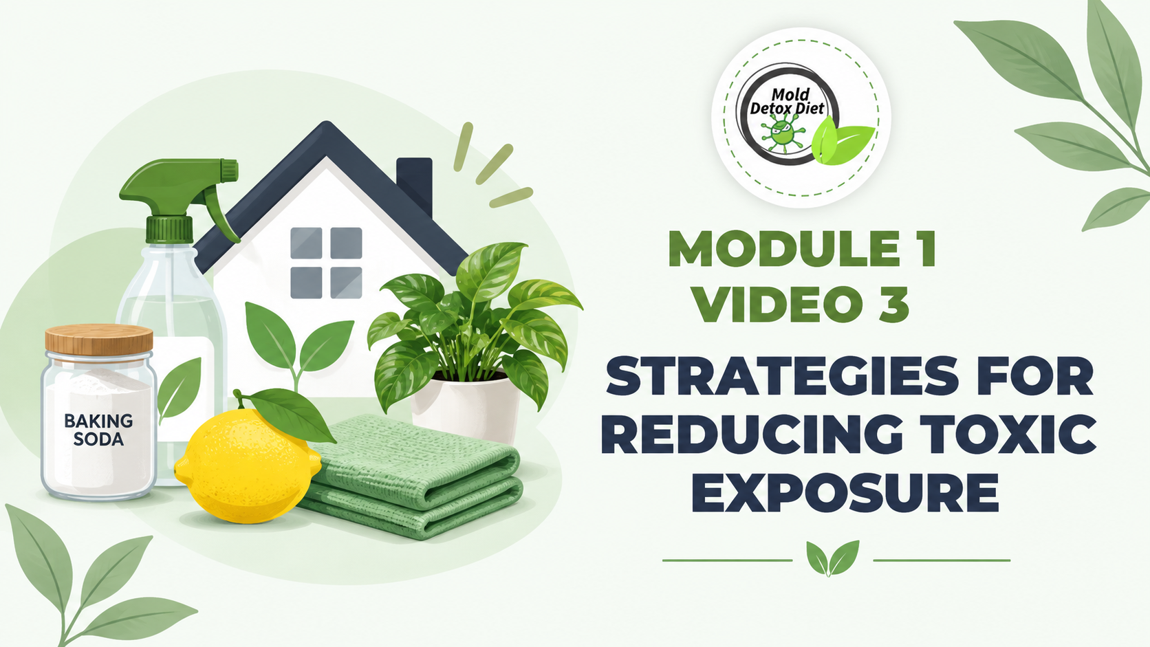 Video thumbnail: Module 1, Video 3 — Strategies for Reducing Toxic Exposure