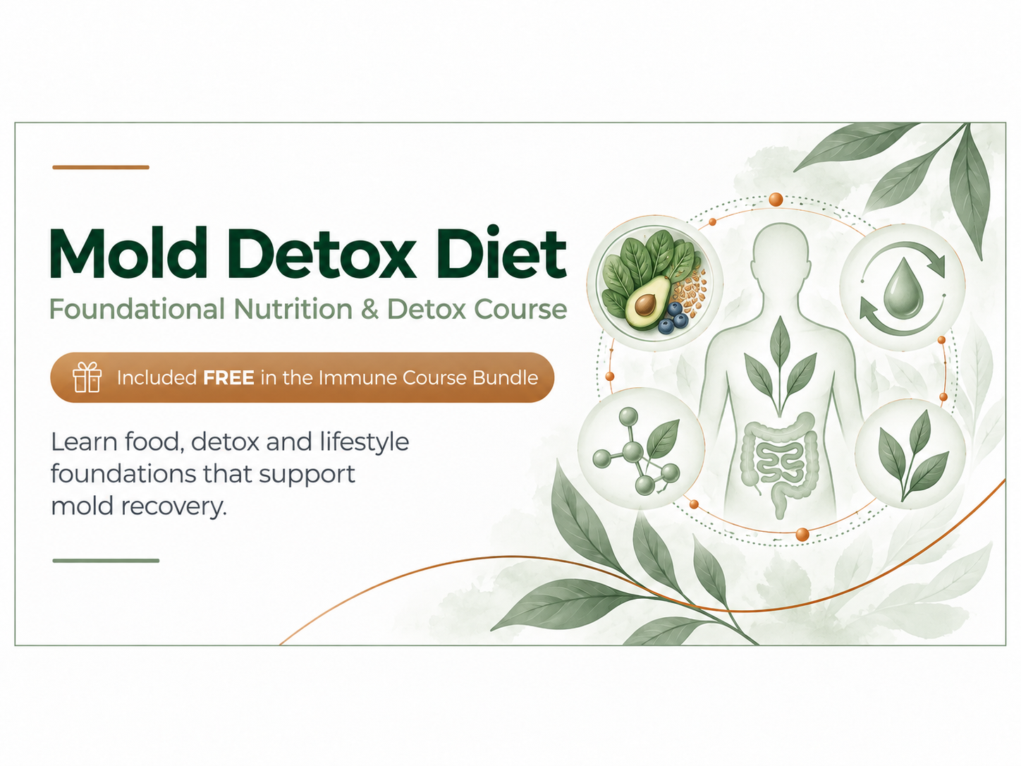 Mold Detox Diet course