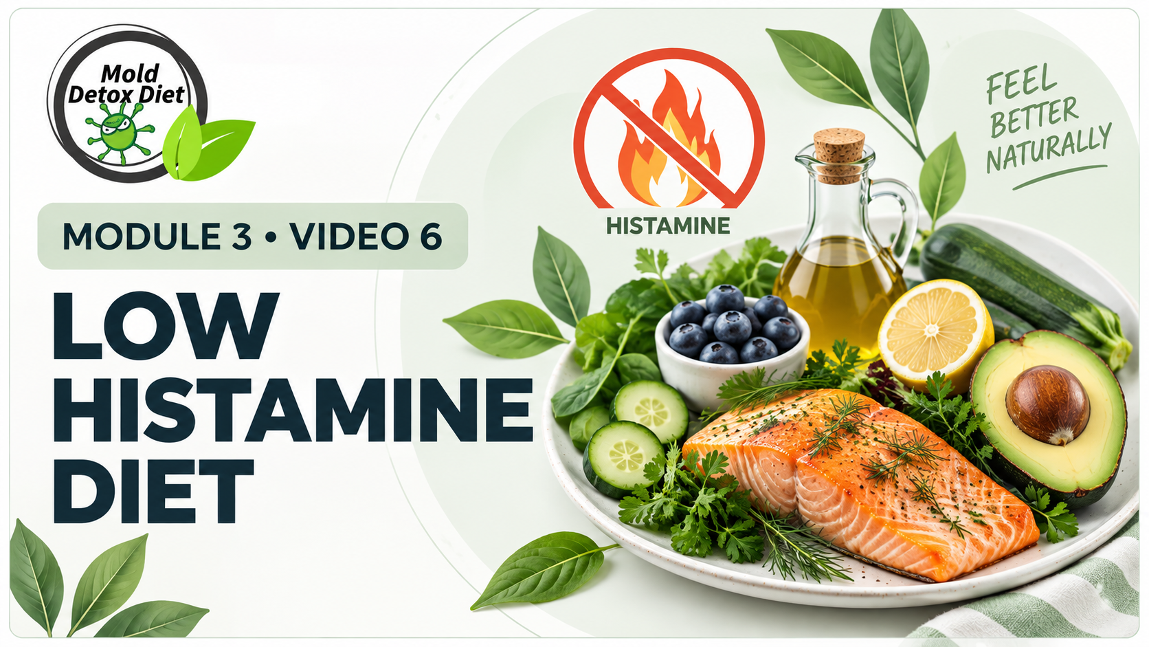 Video thumbnail: Module 3, Video 6 — Low Histamine Diet