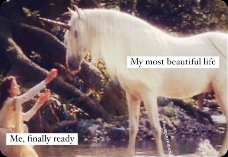 Watching my dream reality unfold