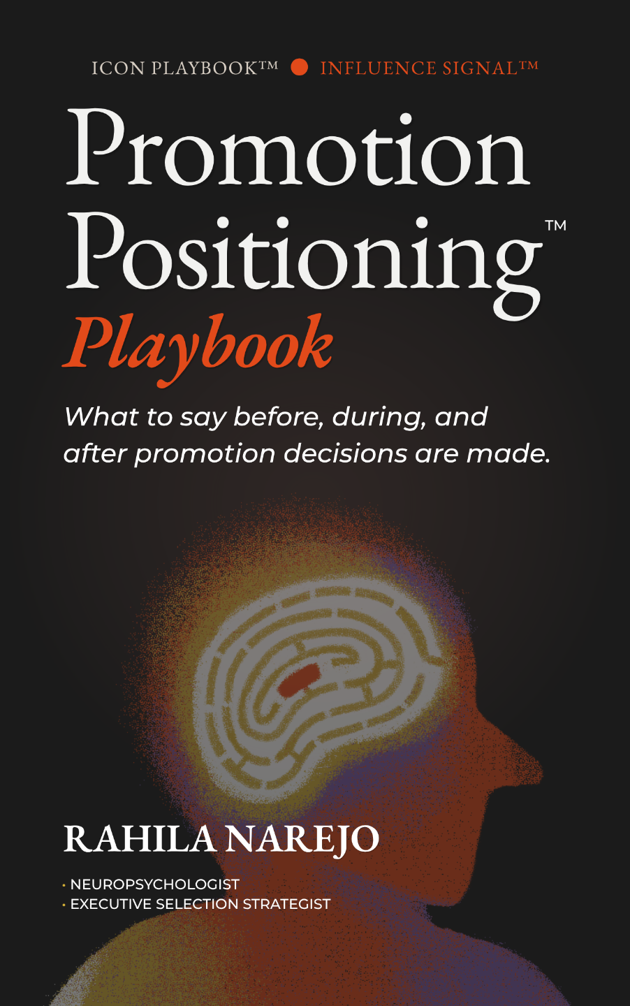 Promotion Positioning Playbook cover