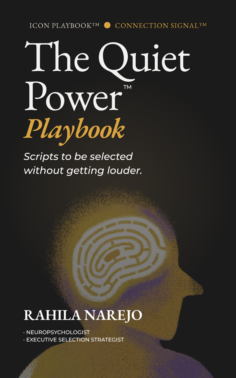 The Quiet Power Playbook cover