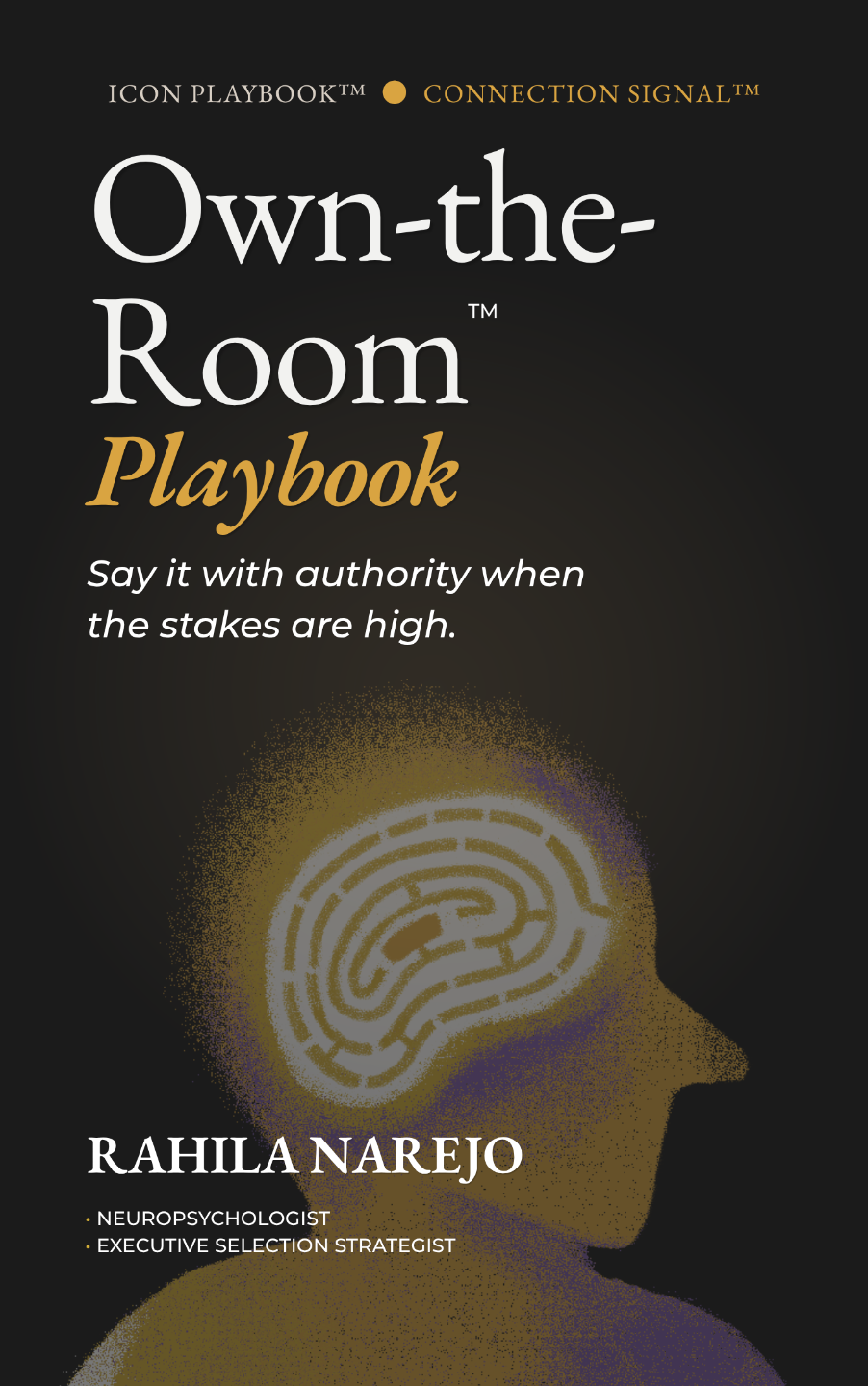 Own-the-Room Playbook cover
