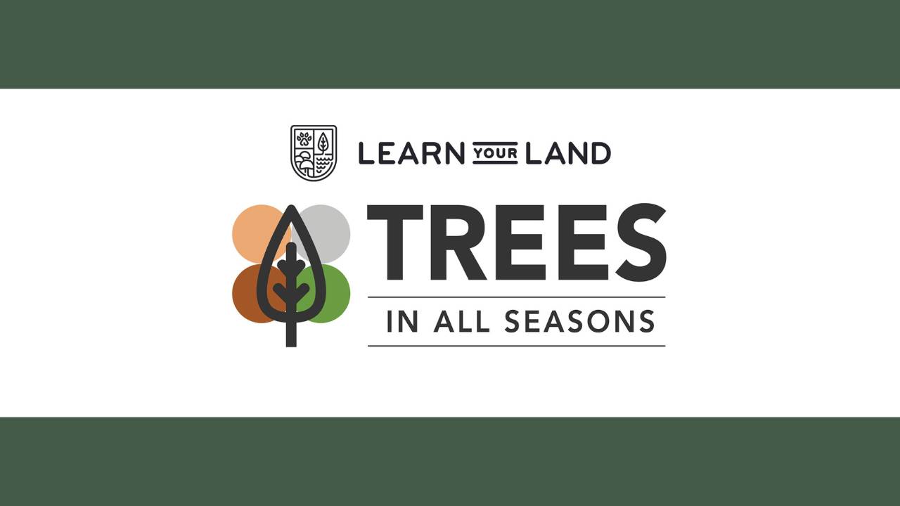 Trees In All Seasons Online Course - Learn Your Land - Adam Haritan