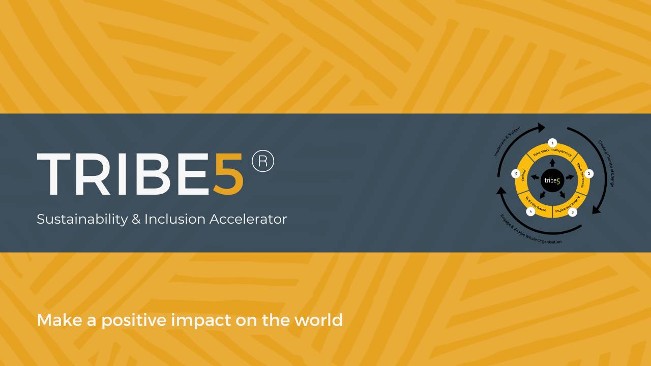 TRIBE5 Inclusion Accelerator