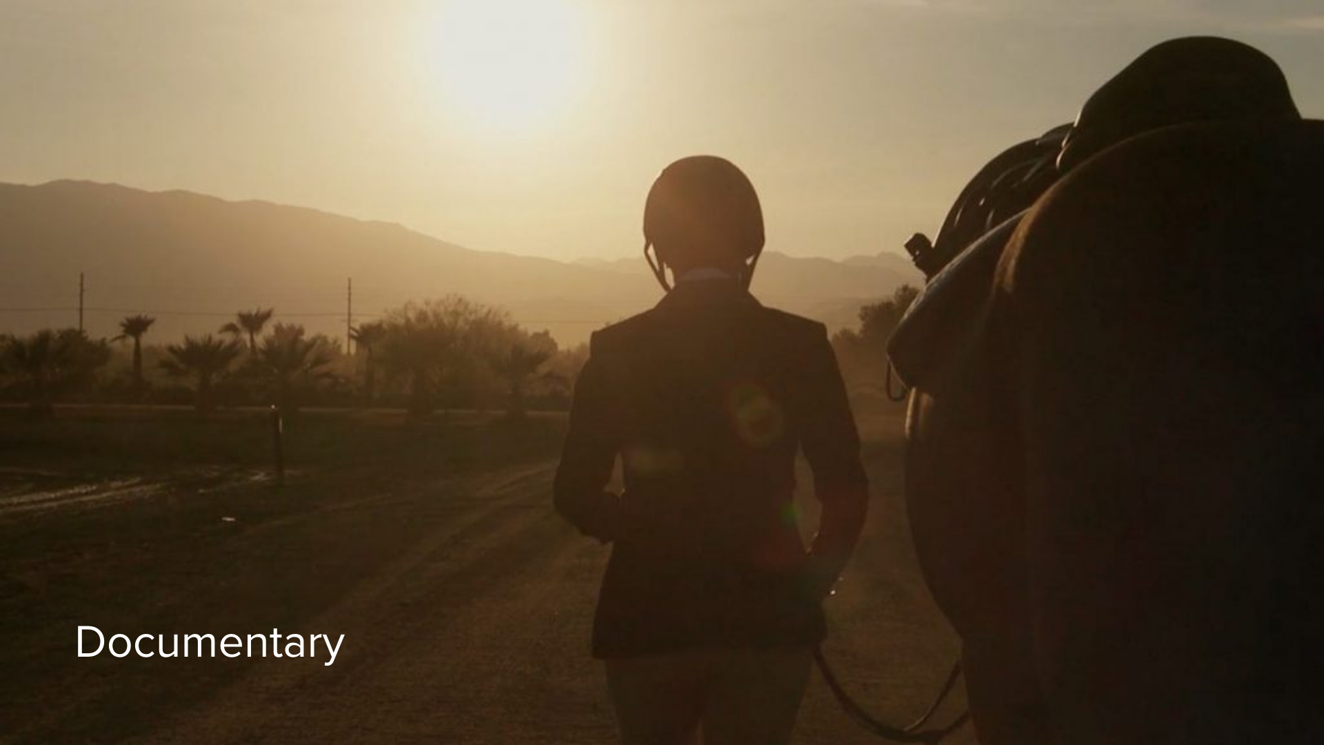 woman with horse at sunset