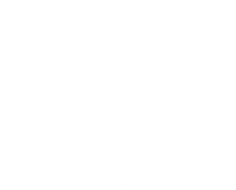 The Baby Reflux Lady Logo