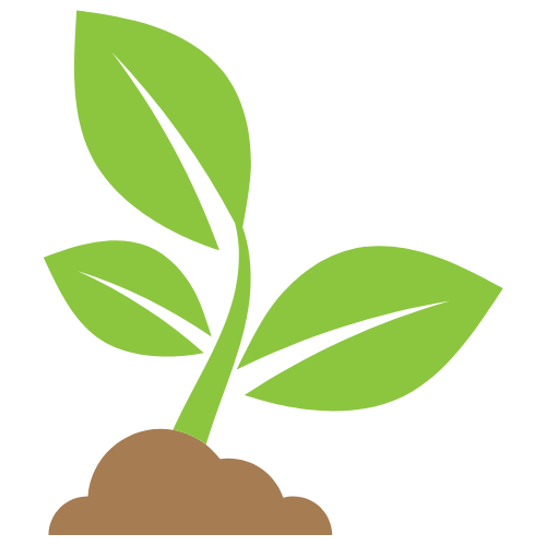 The Seed
