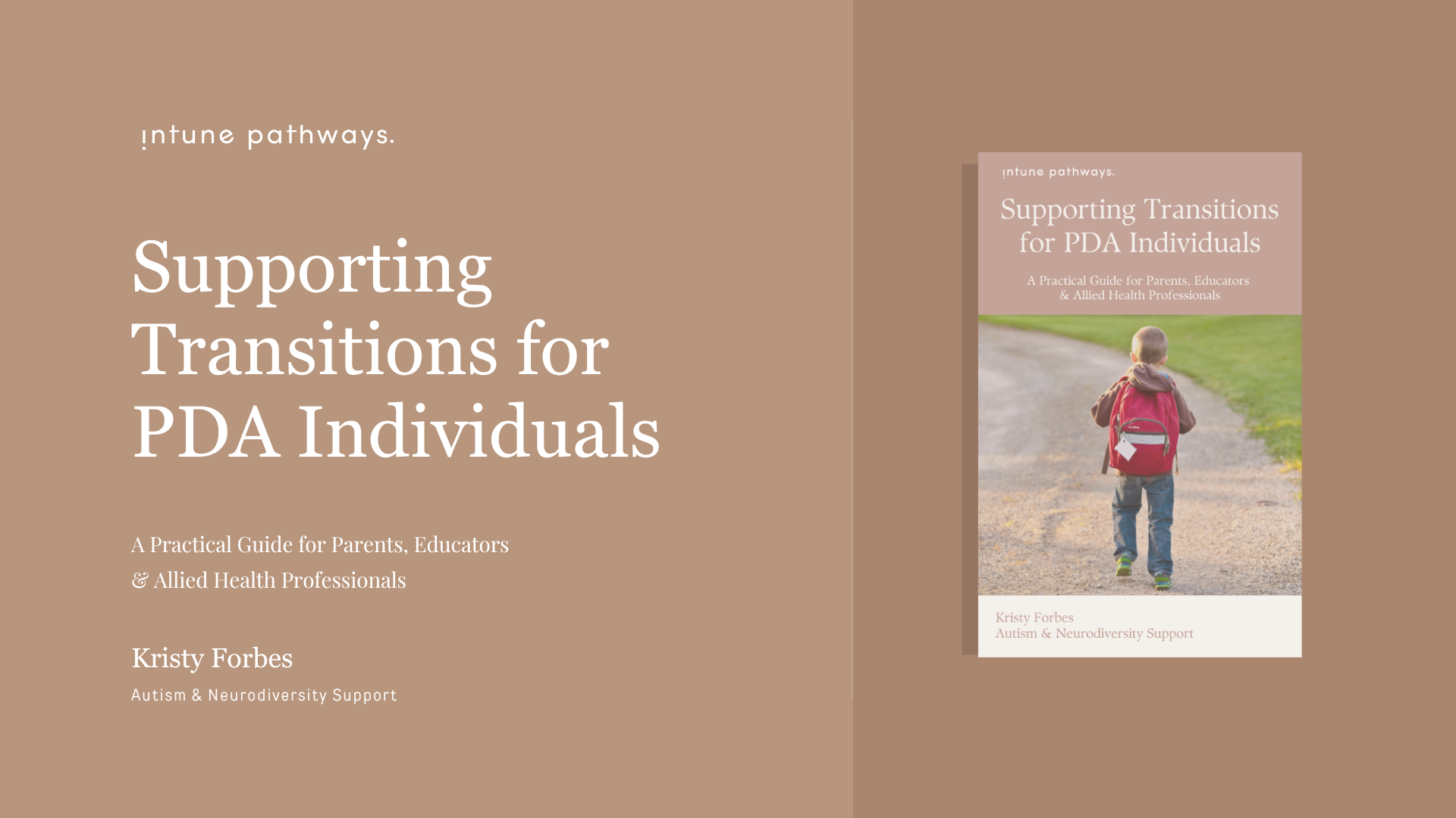 Supporting Transitions for PDA Individuals Guide