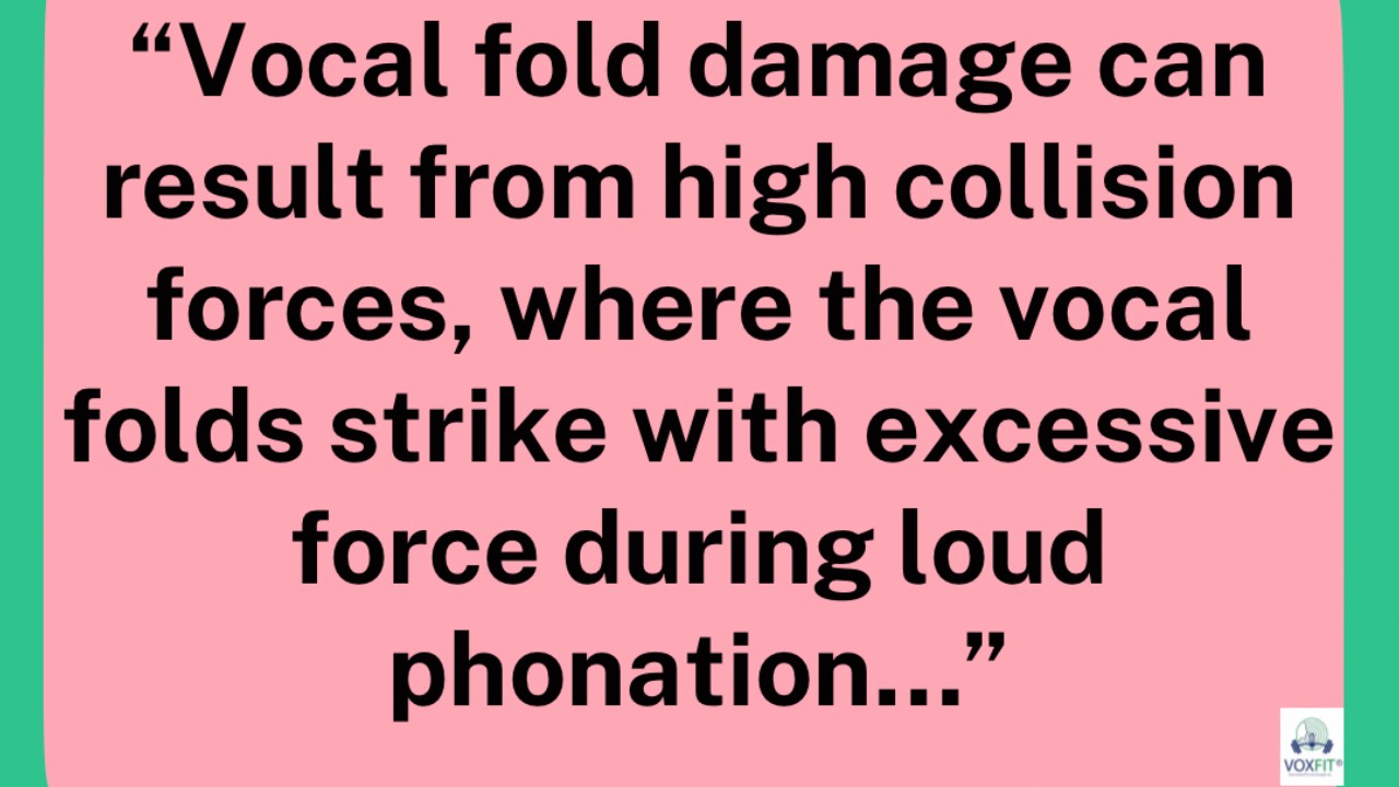 Vocal Fold Damage, SinCity Laryngology Conference 2023, and PYV!