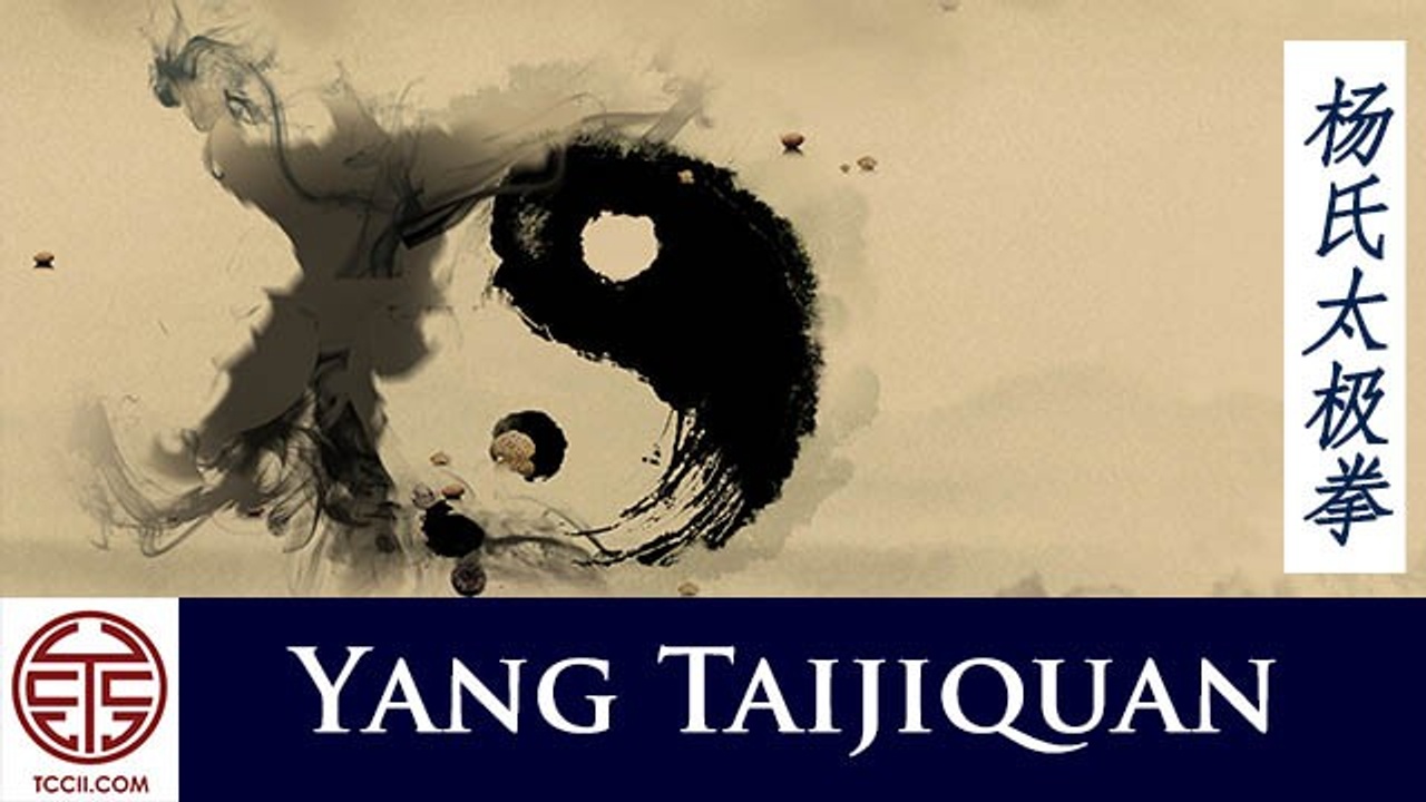 Yang Taijiquan Training Classes