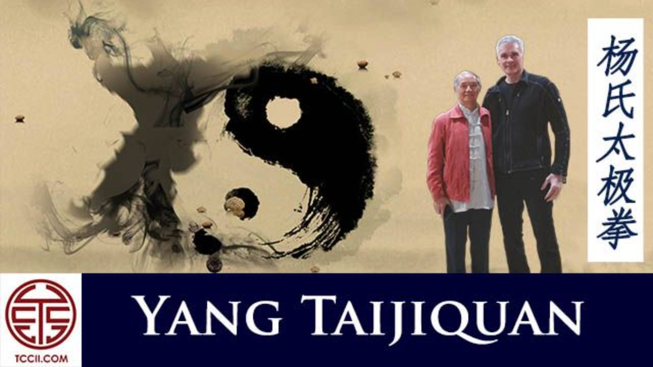 Yang Taijiquan Training Classes