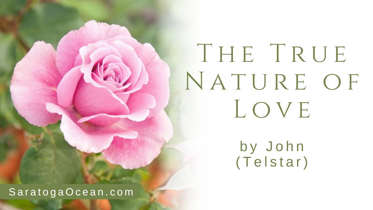 The True Nature of Love by John (Telstar)