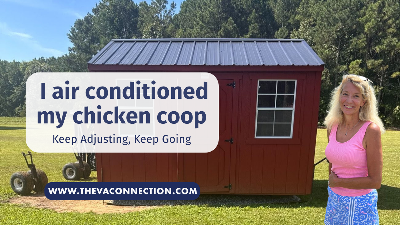 The VA Connection: I Air Conditioned My Chicken Coop
