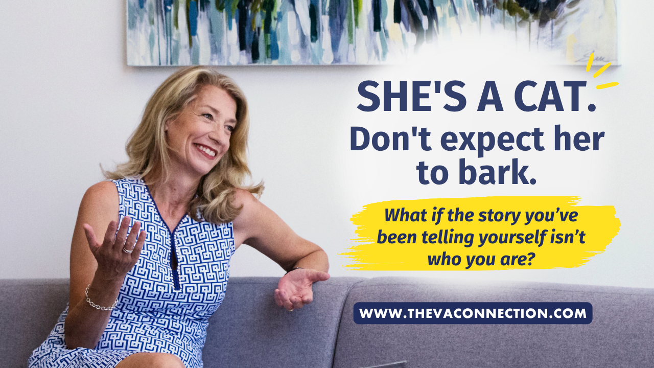The VA Connection: She's a cat. Don't expect her to bark.