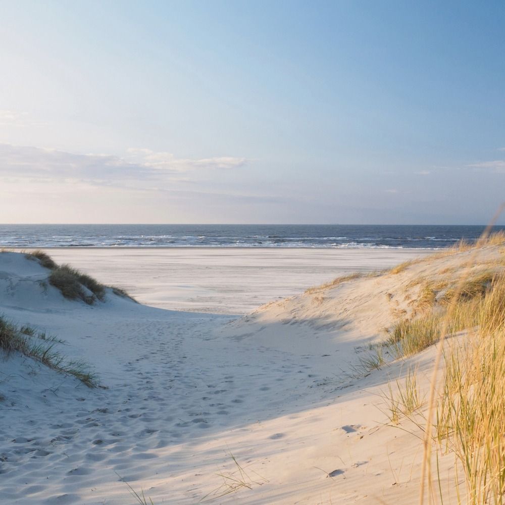 A couple walking the shoreline at golden hour