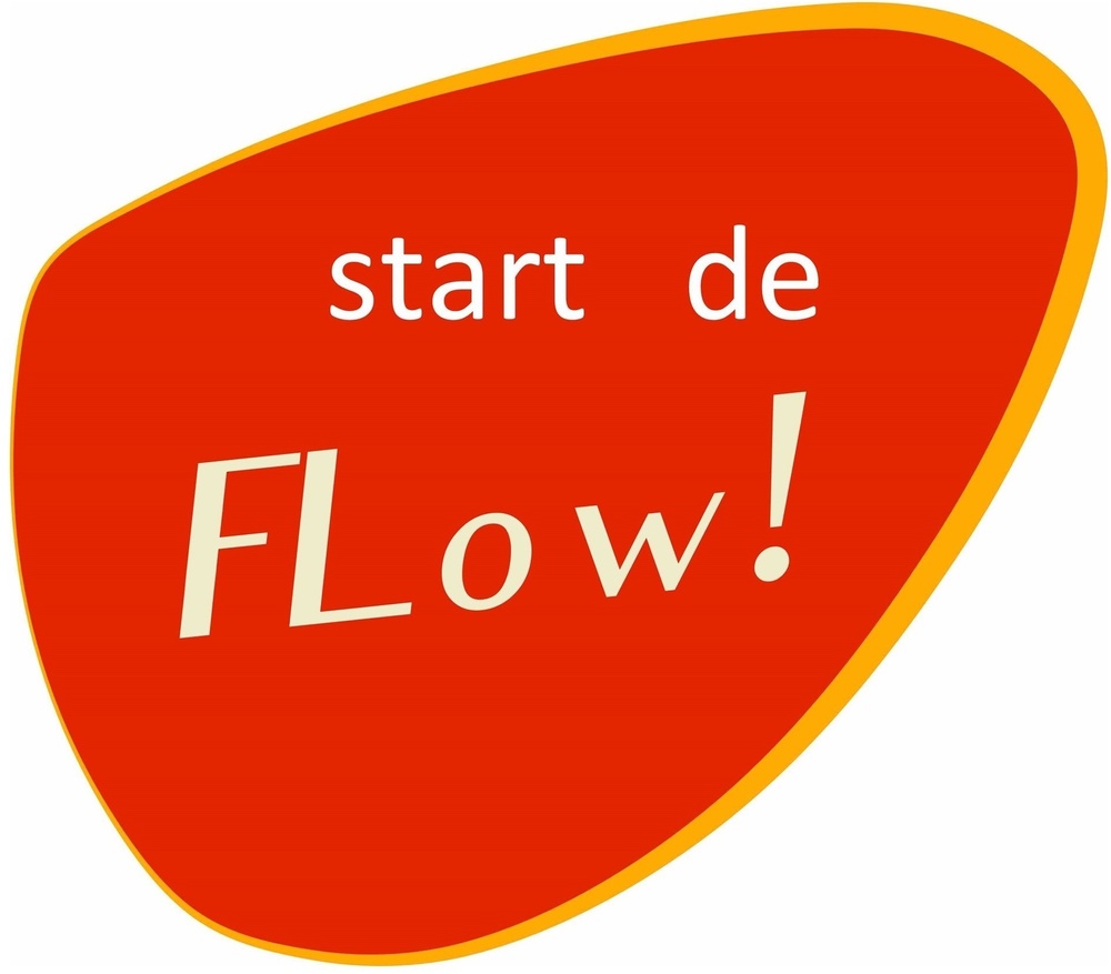 Start de Flow