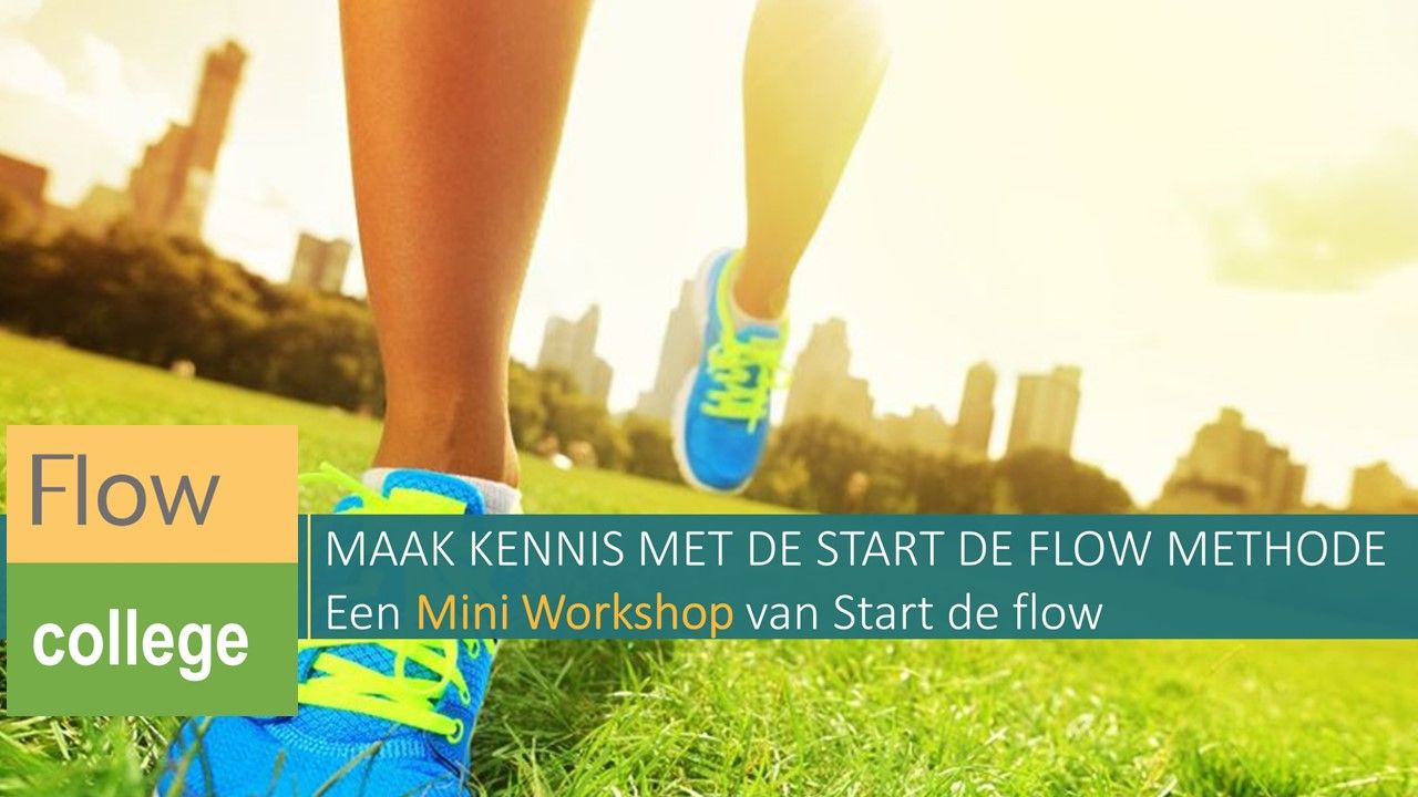 mini workshop maak kennis met de start de flow methode