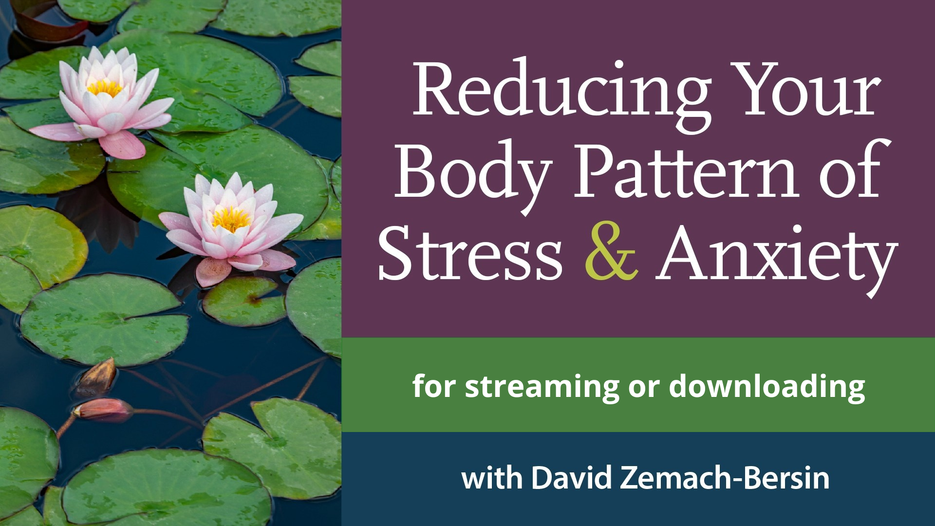 Pink and yellow lotus flowers growing in pond with green lily pads as an illustration of online Feldenkrais Method lessons for Reducing Your Body Pattern of Stress & Anxiety