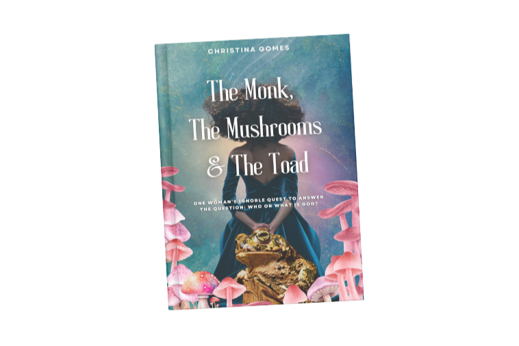 My Book Is Published!