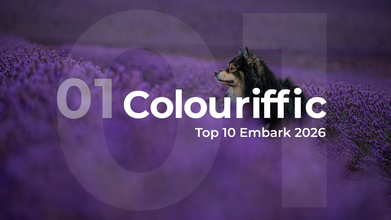 Embark 2026 Colouriffic Top 10