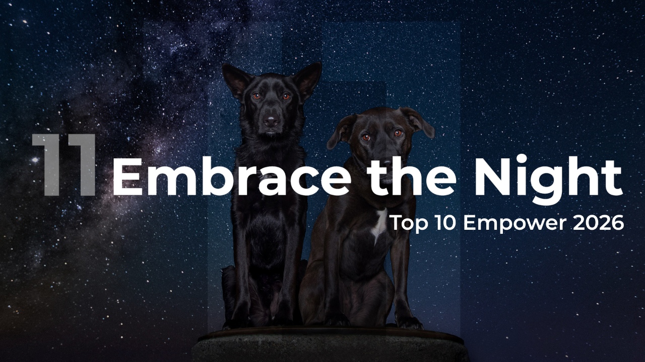 Empower 2026 Embrace the Night Top 10