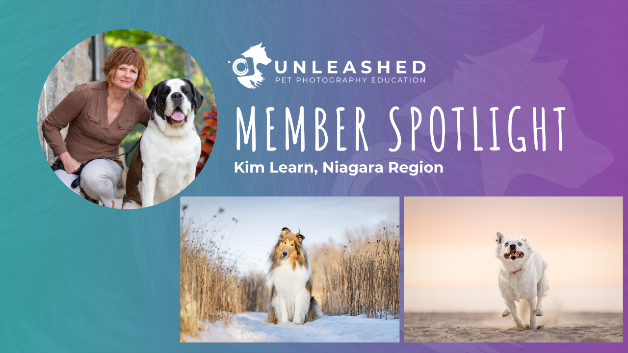 Kim Learn - Member Spotlight