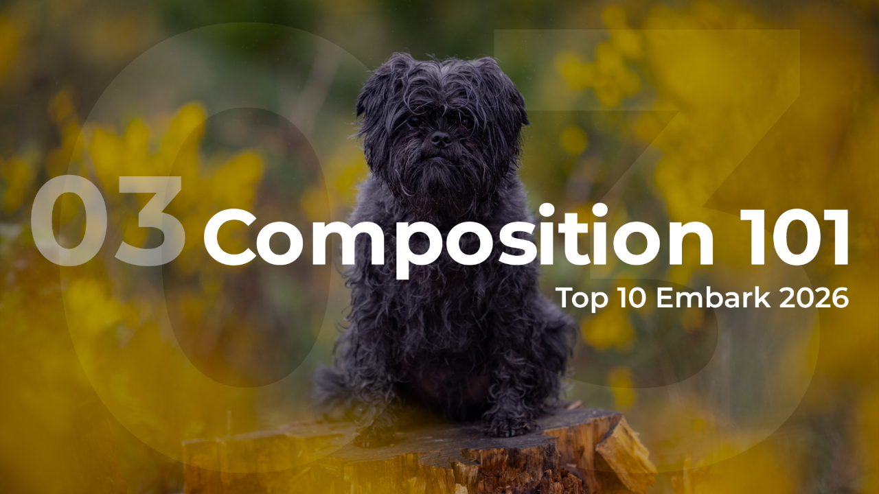 Embark 2026 Composition 101 Top 10
