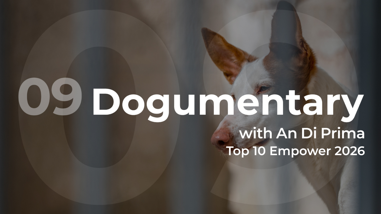 Empower 2026 Dogumentary Top 10