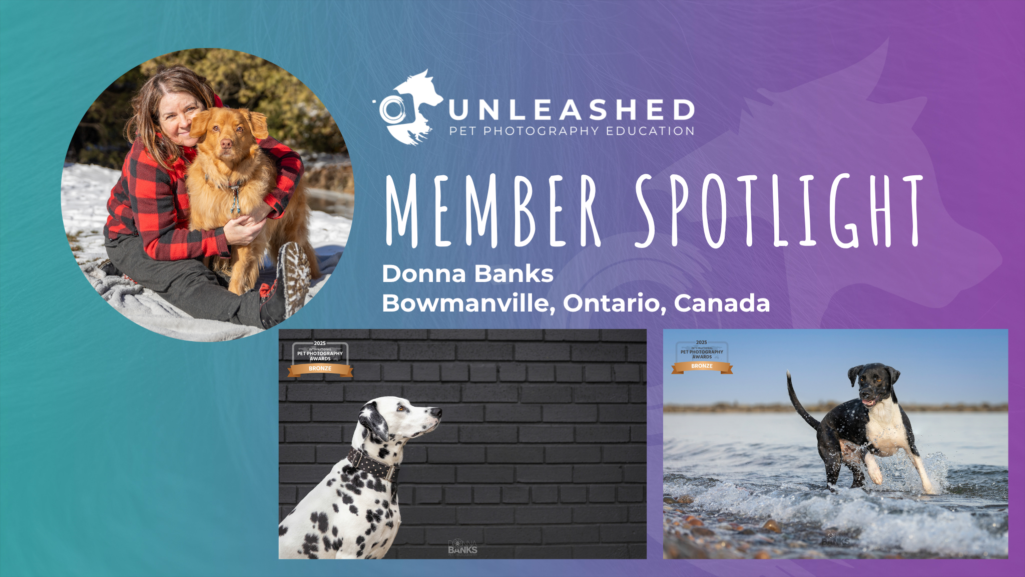 Donna Banks - Member Spotlight