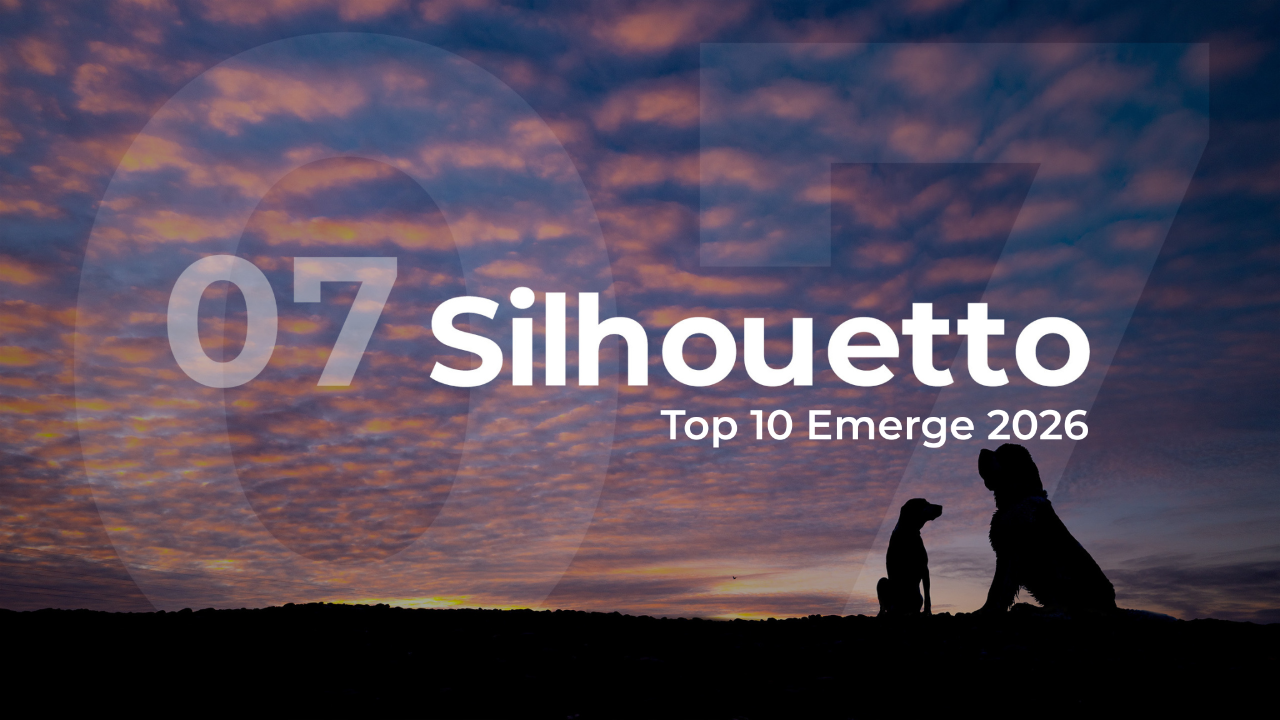 Emerge 2026 Silhouetto Top 10