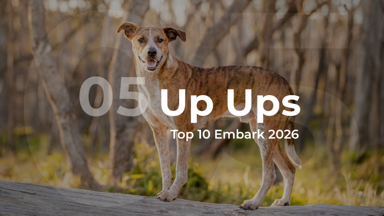 Embark 2026 Up Ups Top 10