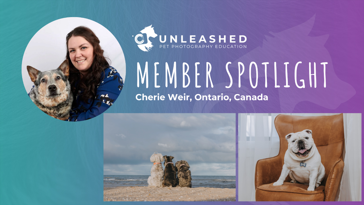 Cherie Weir - Member Spotlight