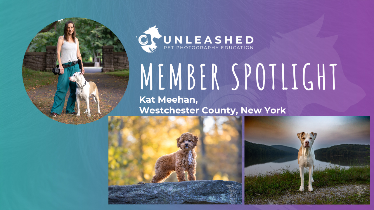 Kat Meehan - Member Spotlight