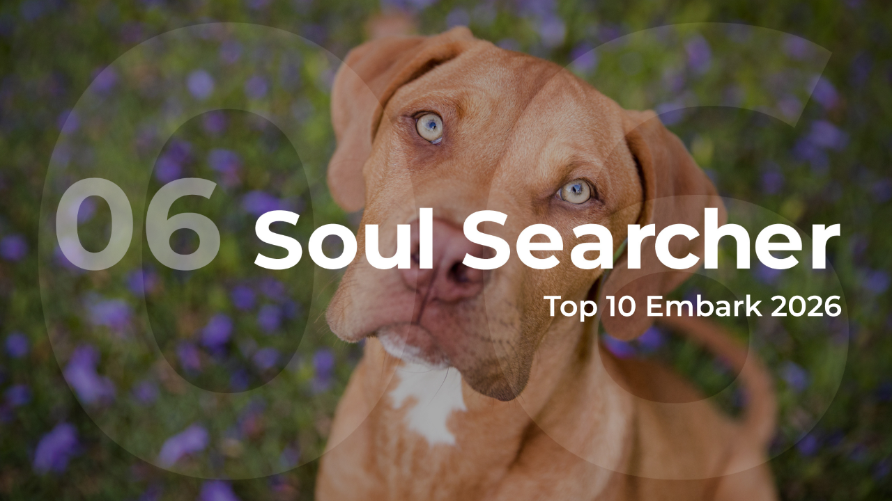 Embark 2026 Soul Searcher Top 10