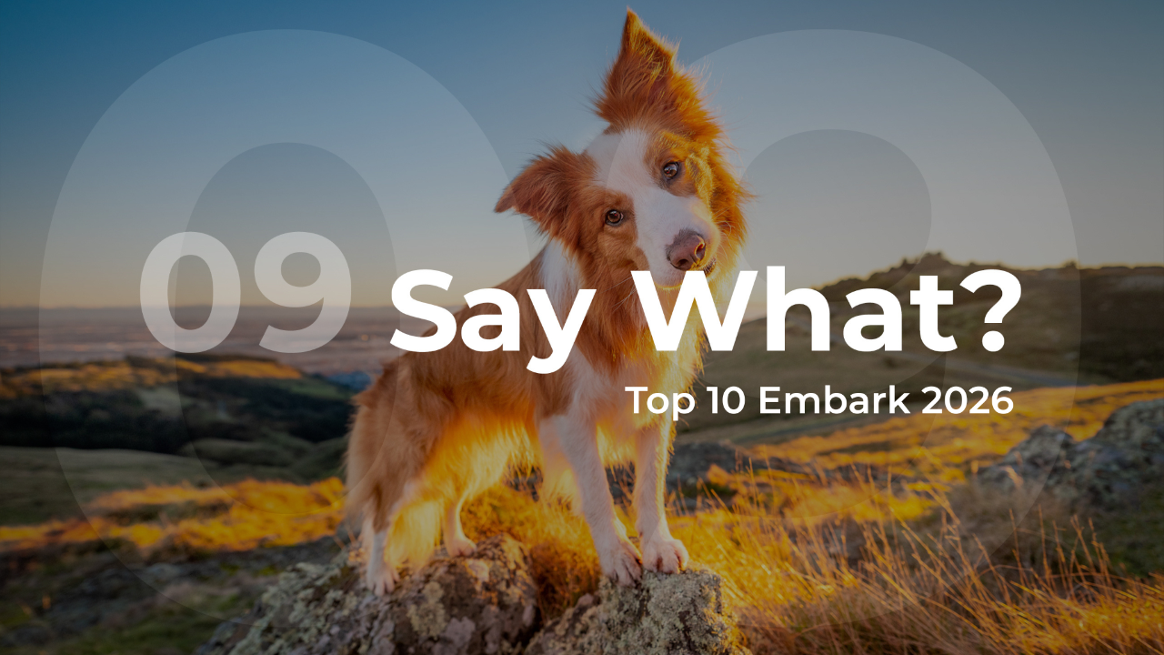 Embark 2026 Say What? Top 10