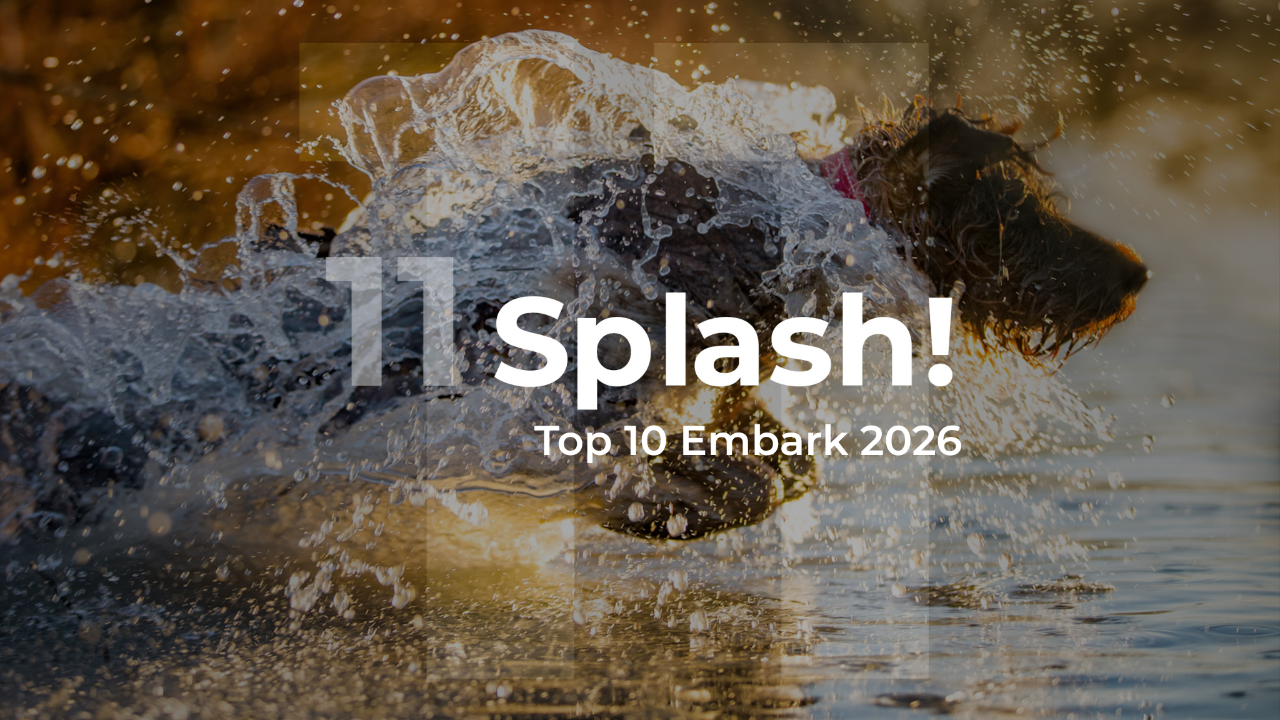 Embark 2026 Splash! Top 10