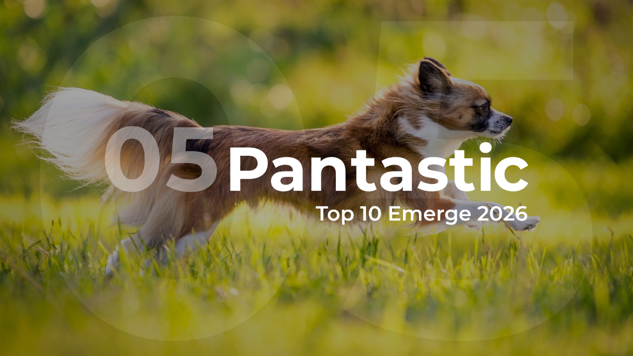 Emerge 2026 Pantastic Top 10