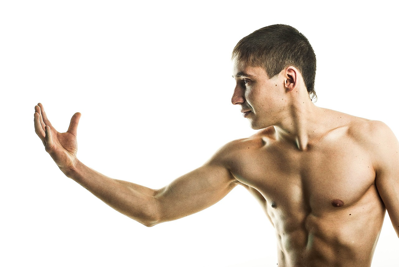 Why do muscle cells love PILANDES?