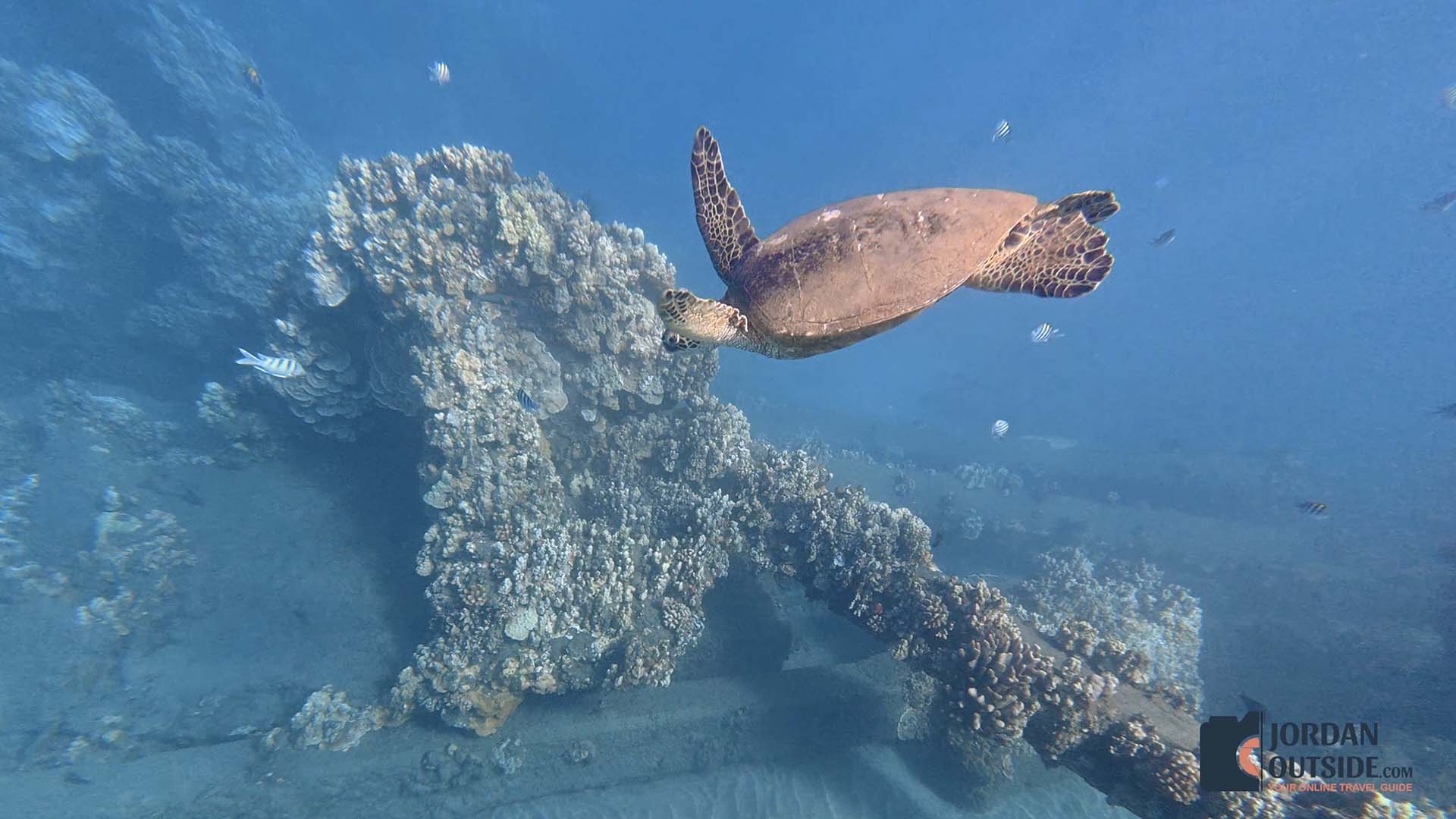 Mala Historic Wharf and Baby Beach, Maui