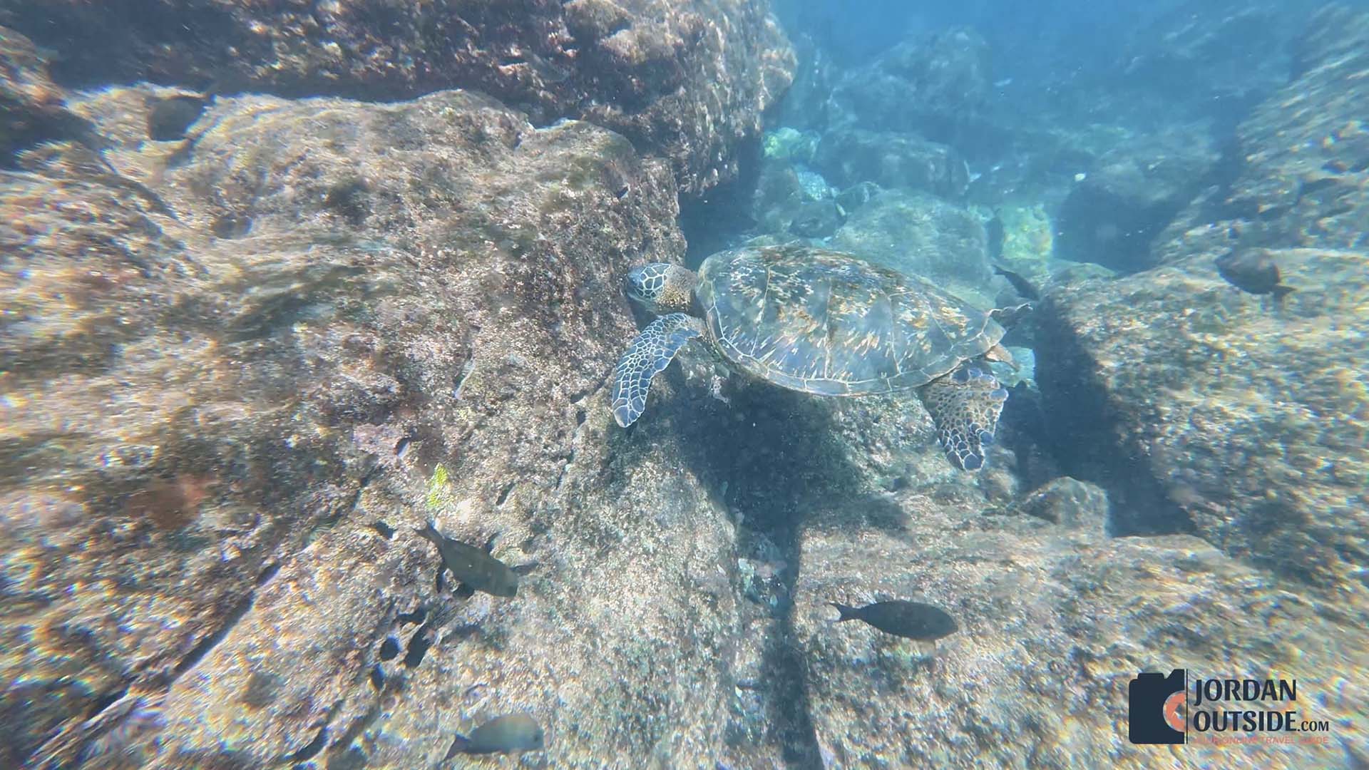 Honokeana Cove, Maui