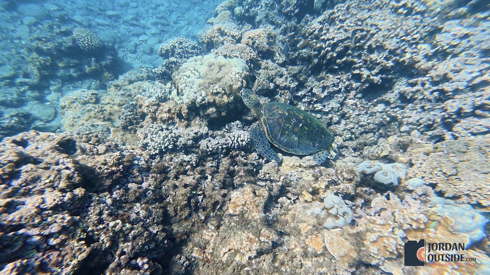 Honokeana Cove, Maui