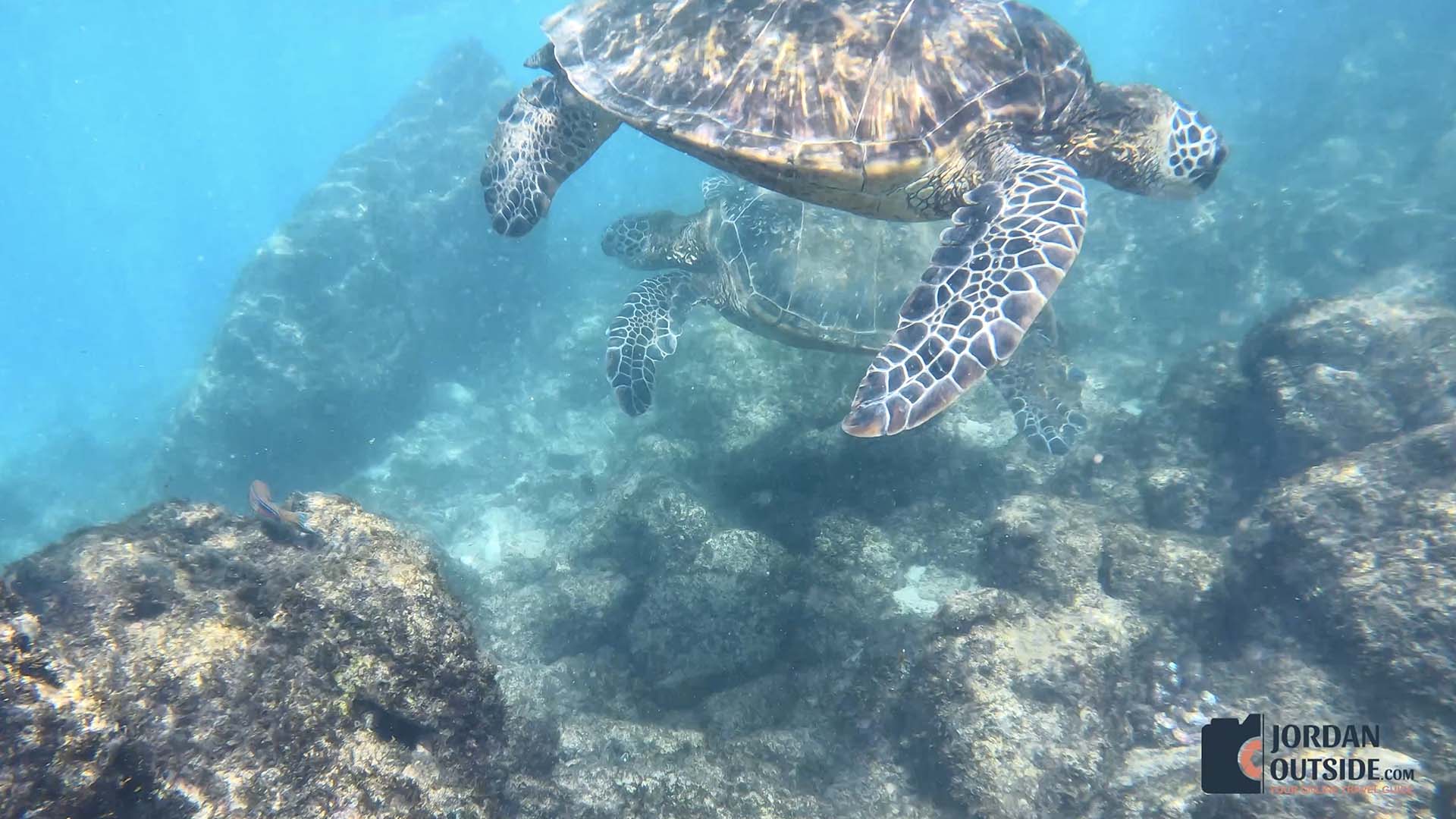 Kapalua Bay Beach