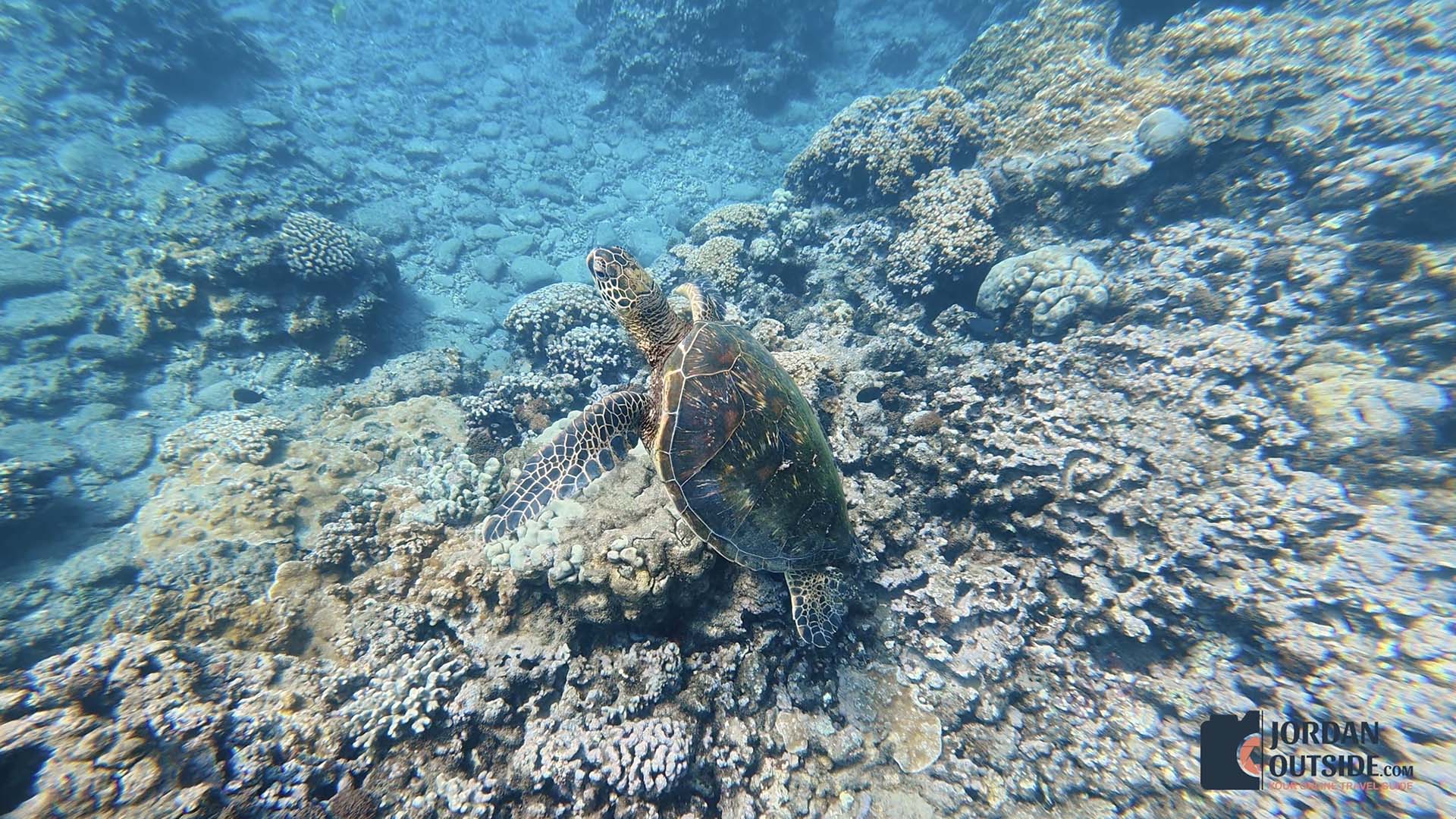 Honokeana Cove, Maui