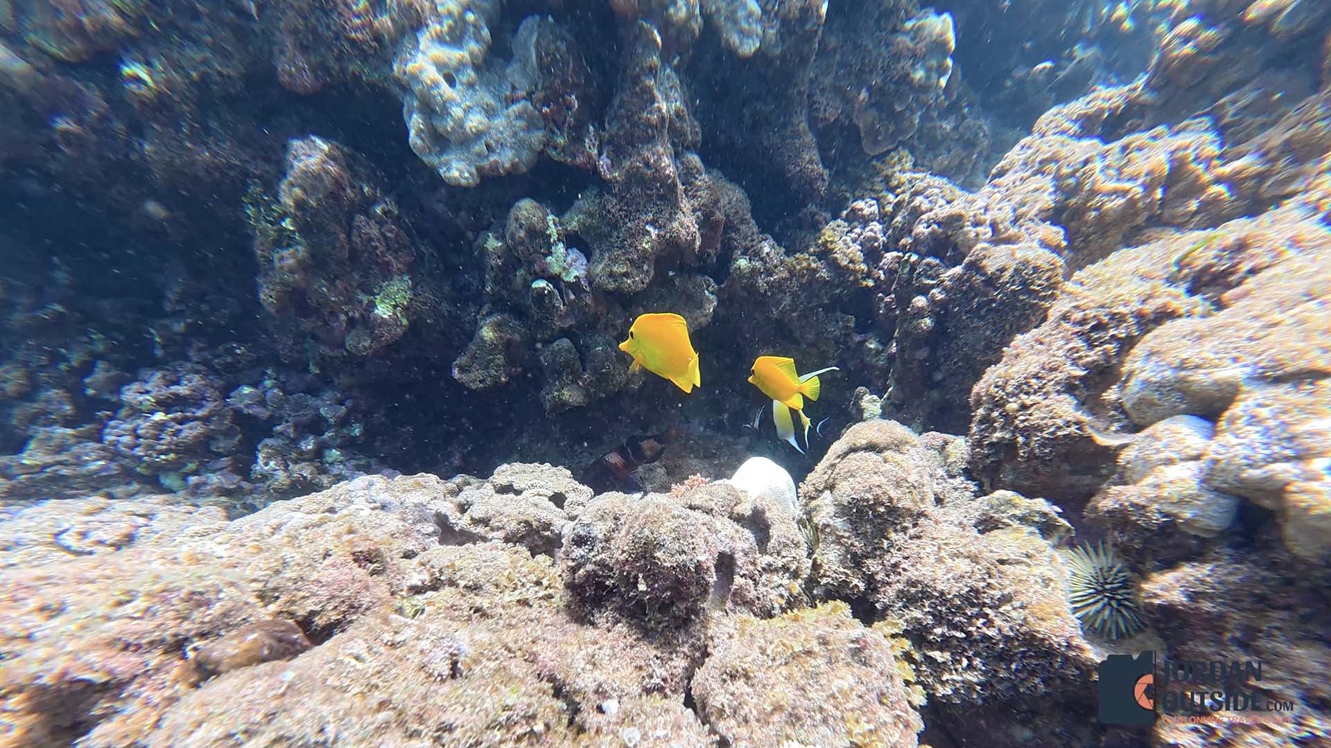 Honokeana Cove, Maui