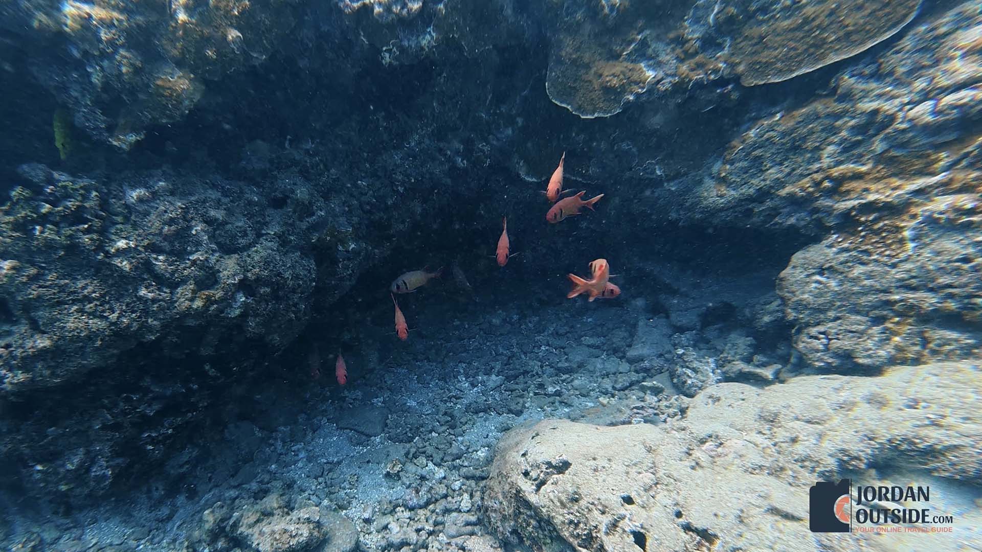 Honokeana Cove, Maui