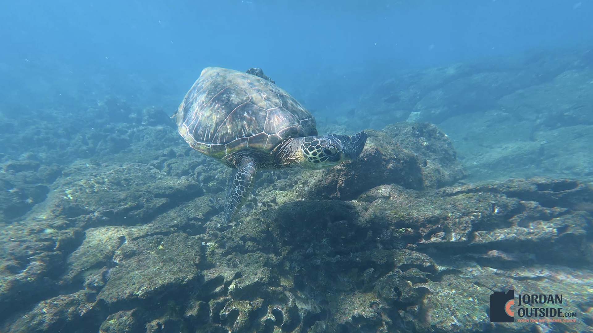 Napili Bay Beach, Maui