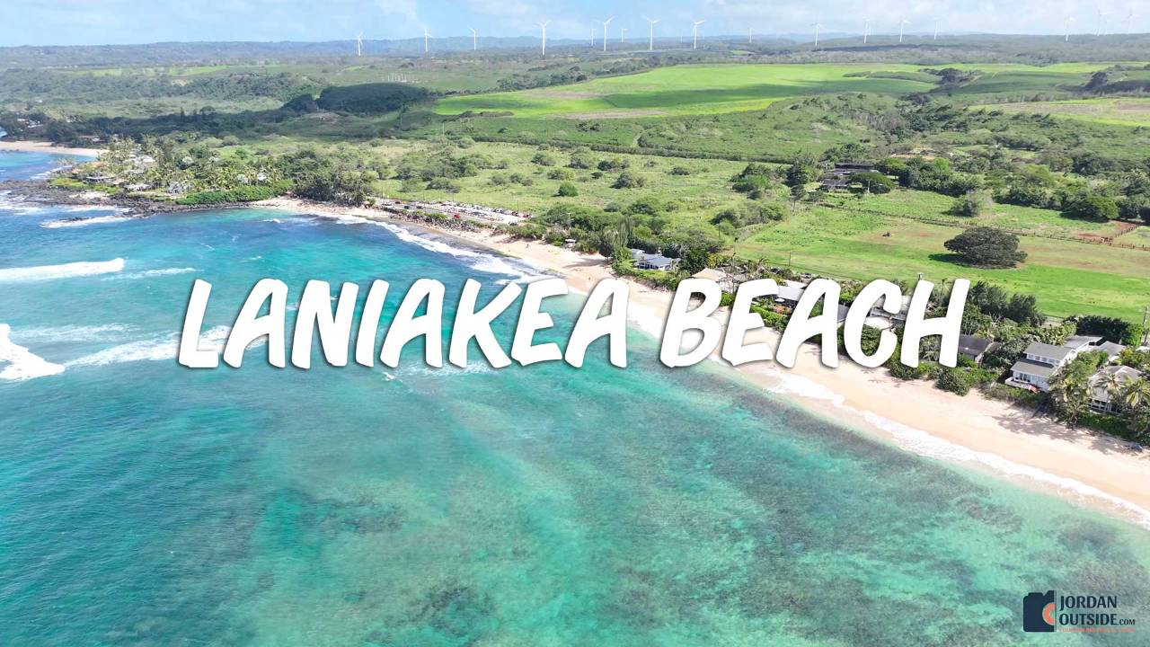 Laniakea Beach, Oahu, Hawaii