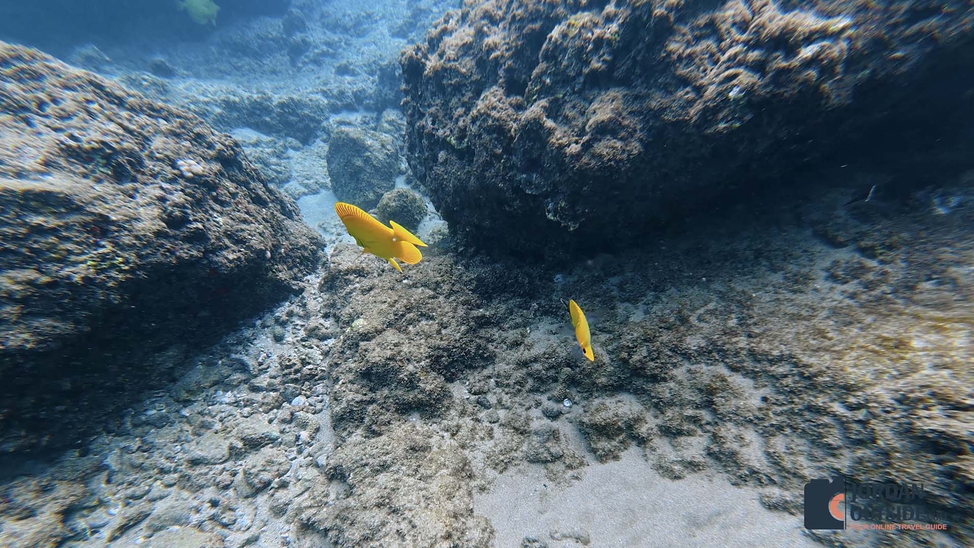 Ka'anapali Beach and Black Rock Beach, Maui